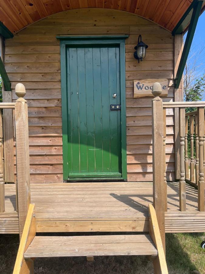 Woodie The Shepherds Hut - Sleeps 4 奇切斯特 外观 照片
