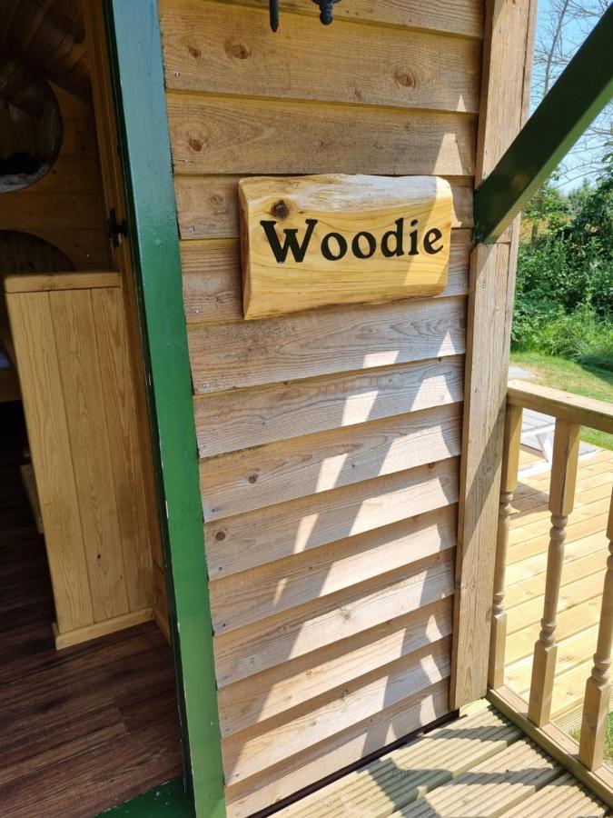 Woodie The Shepherds Hut - Sleeps 4 奇切斯特 外观 照片